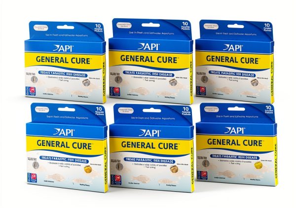 API General Cure Powder Packets, 10 Count, 6 Pack-1